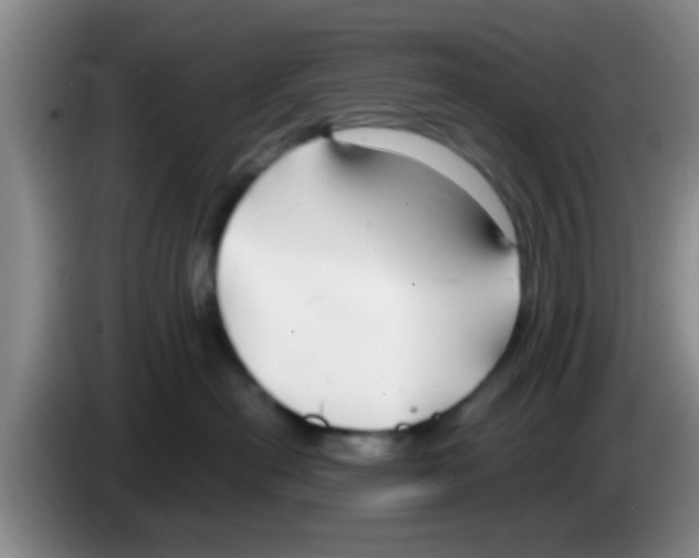 X0000083590478200703091723