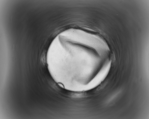 X0000083590479200703091723