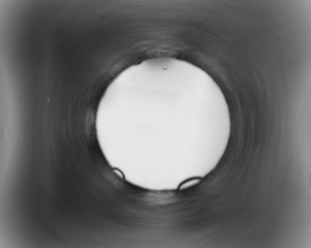 X0000083590480200703091723