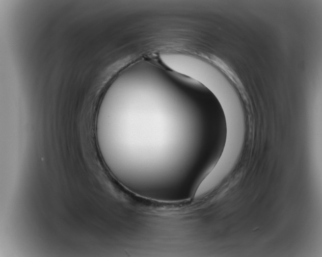 X0000083590481200703091723