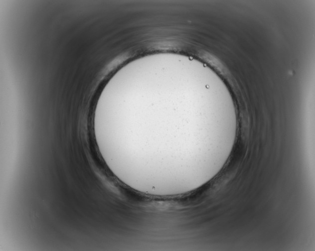 X0000083590482200703091723