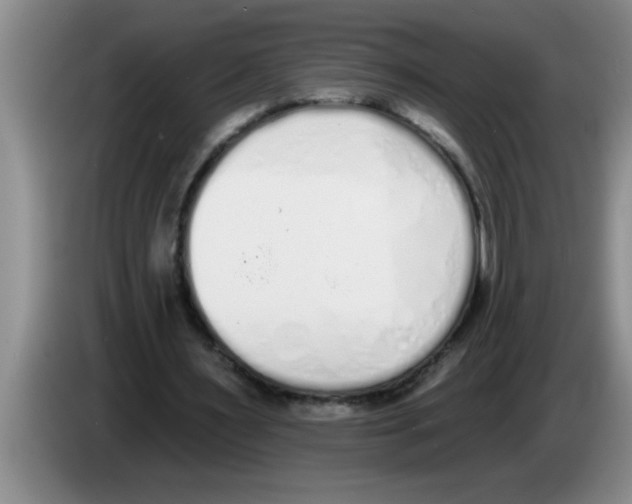 X0000083590483200703091723