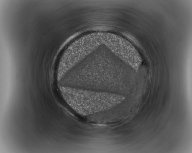 X0000083590484200703091723