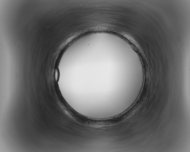 X0000083590485200703091723