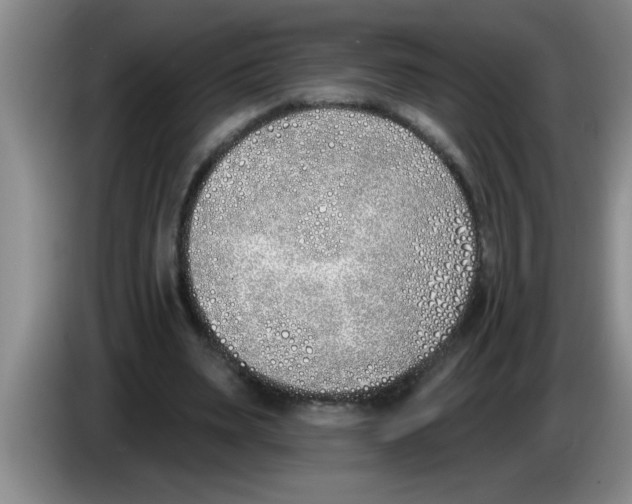 X0000083590487200703091723