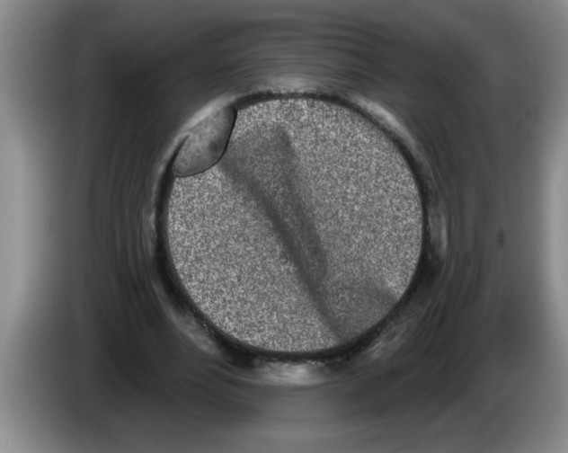 X0000083590488200703091723
