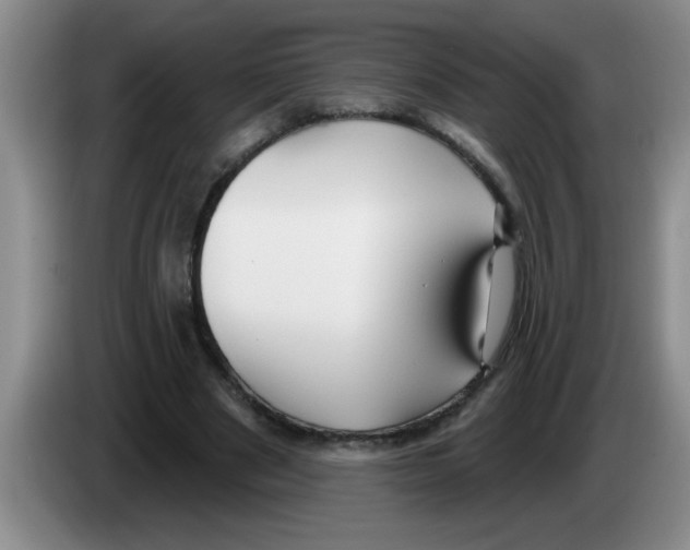 X0000083590489200703091723