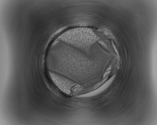 X0000083590492200703091722