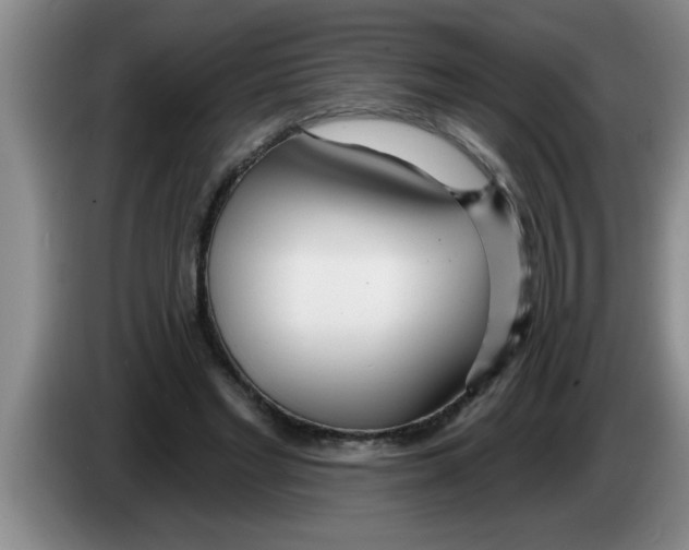 X0000083590493200703091722