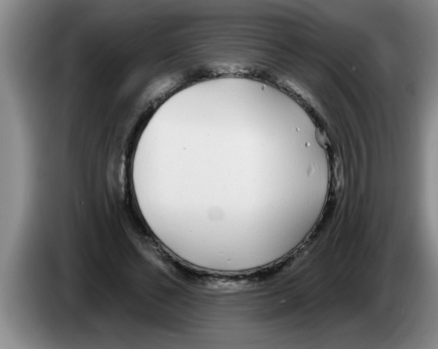 X0000083590494200703091722