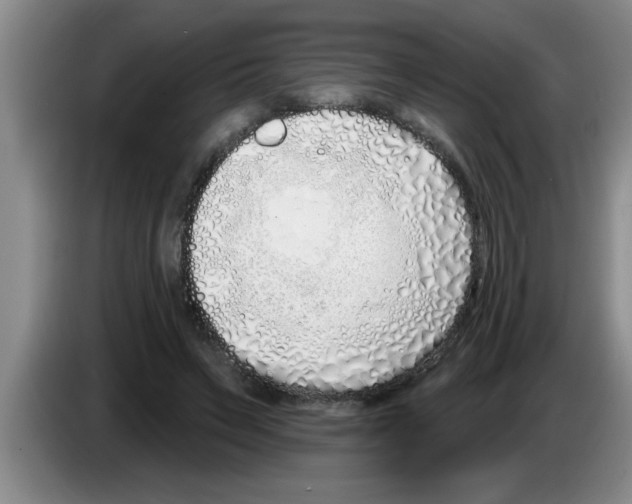 X0000083590495200703091722