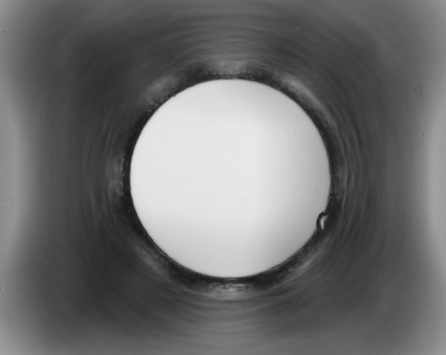 X0000083590497200703091722