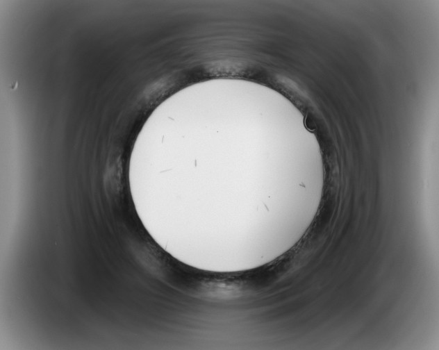 X0000083590498200703091722