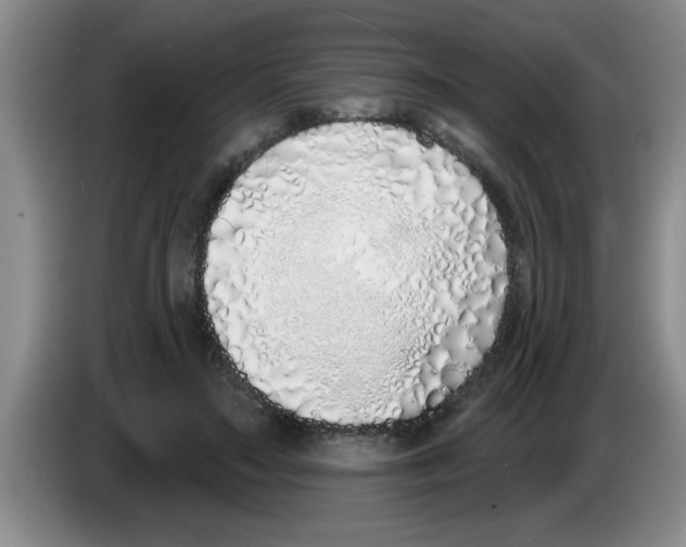 X0000083590499200703091722