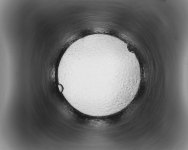 X0000083590502200703091722