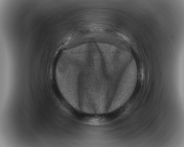 X0000083590504200703091722