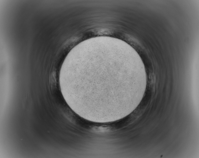 X0000083590506200703091722