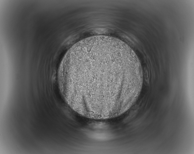 X0000083590507200703091722