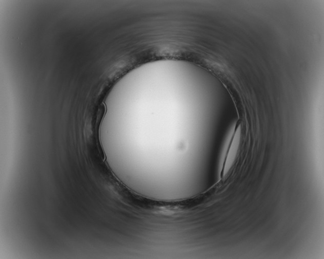 X0000083590508200703091722