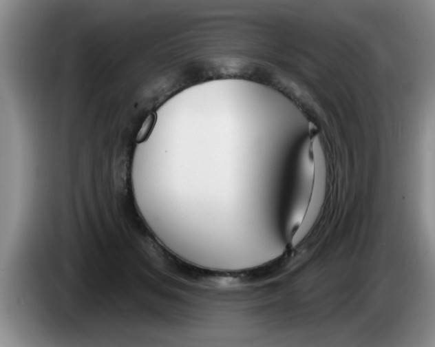 X0000083590509200703091722