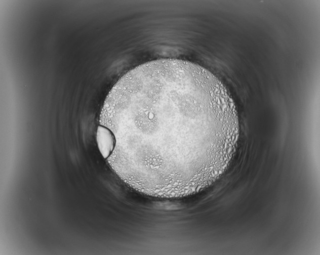 X0000083590511200703091722