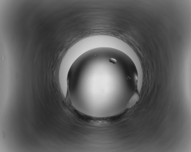 X0000083590512200703091722