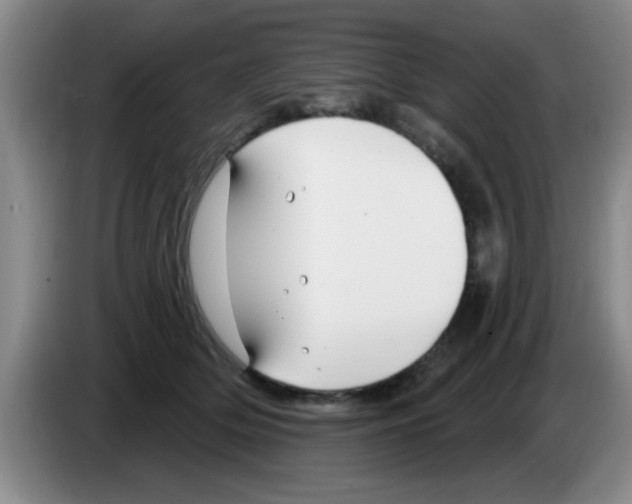 X0000083590514200703091722
