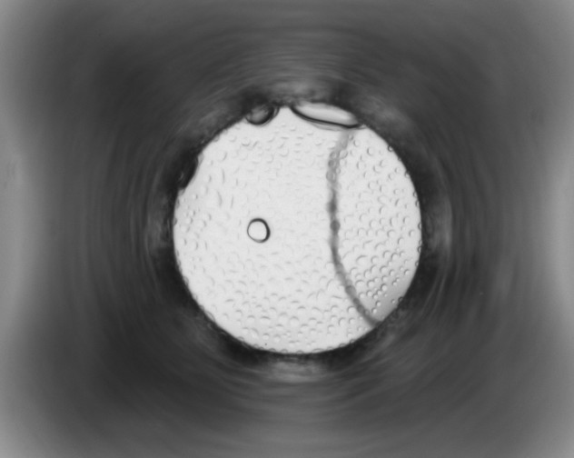 X0000083590515200703091722