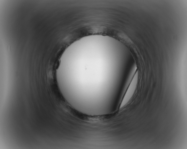 X0000083590516200703091722