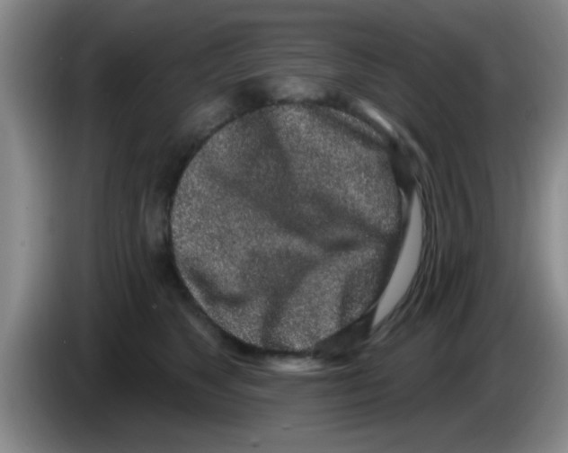 X0000083590517200703091722