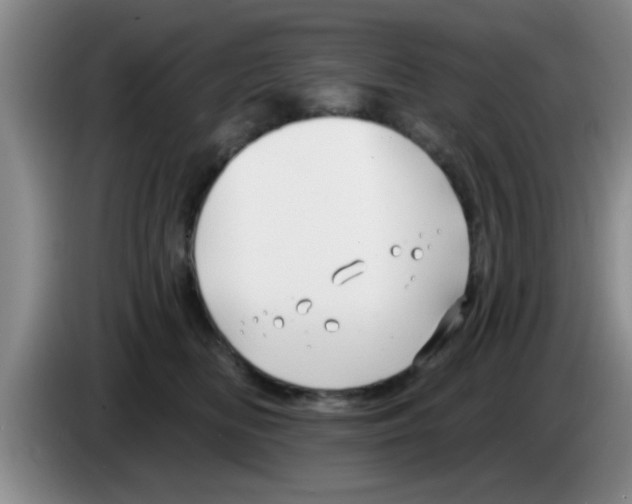 X0000083590518200703091722