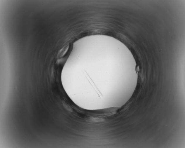 X0000083590520200703091722