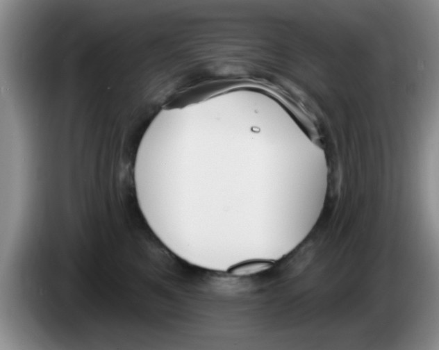 X0000083590521200703091722
