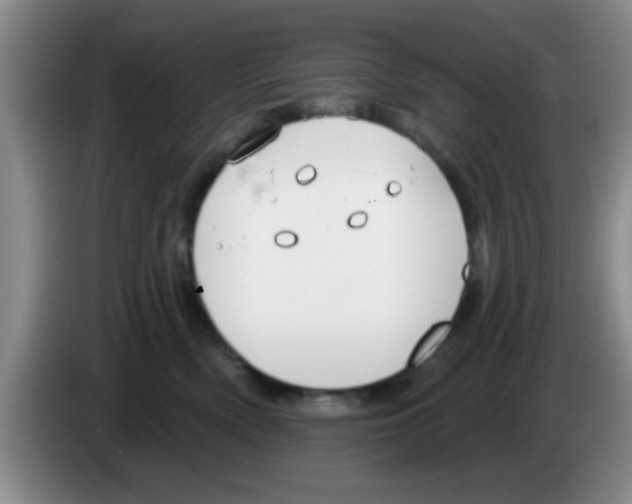 X0000083590522200703091722