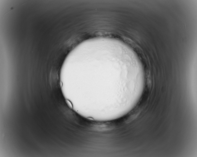X0000083590523200703091722