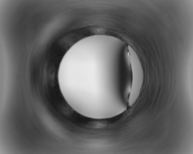 X0000083590525200703091722