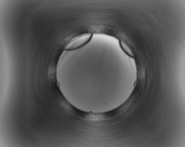 X0000083590526200703091722