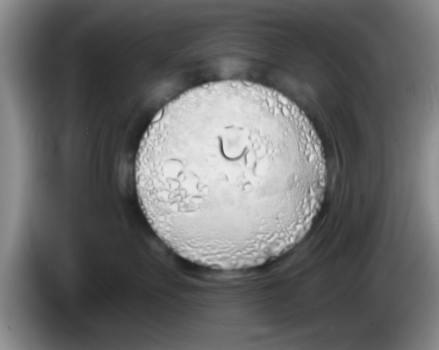 X0000083590527200703091722