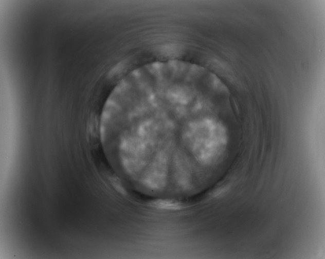 X0000083590528200703091722
