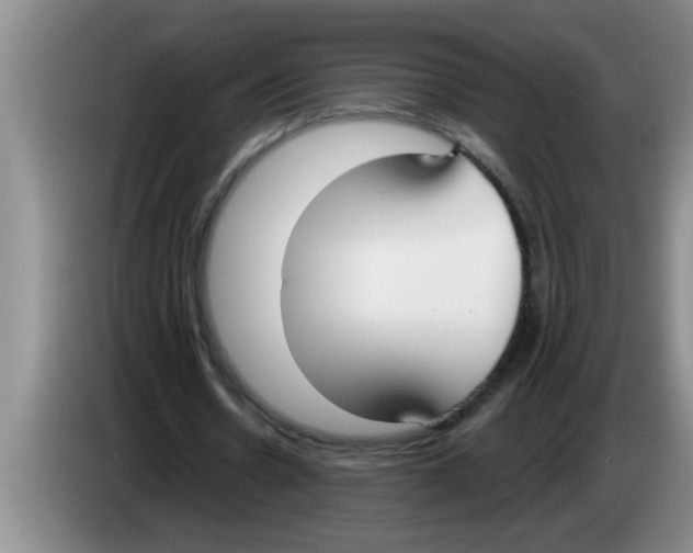 X0000083590530200703091721