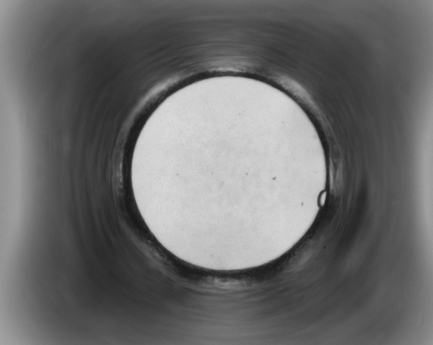 X0000083590531200703091721