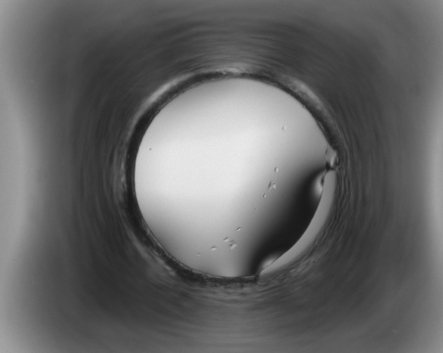 X0000083590532200703091721