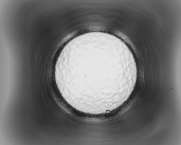 X0000083590533200703091721