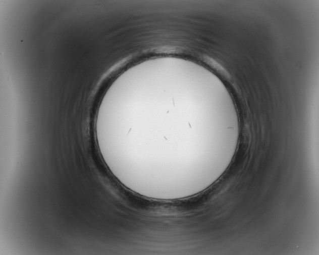 X0000083590535200703091721
