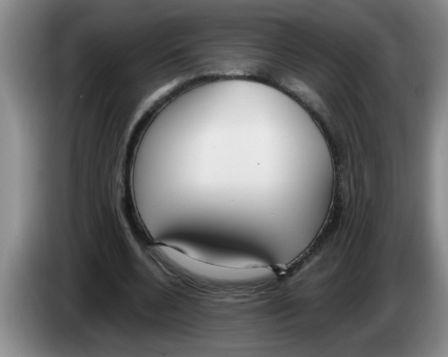 X0000083590536200703091721