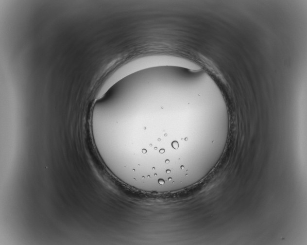 X0000083590538200703091721
