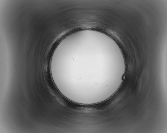 X0000083590539200703091721