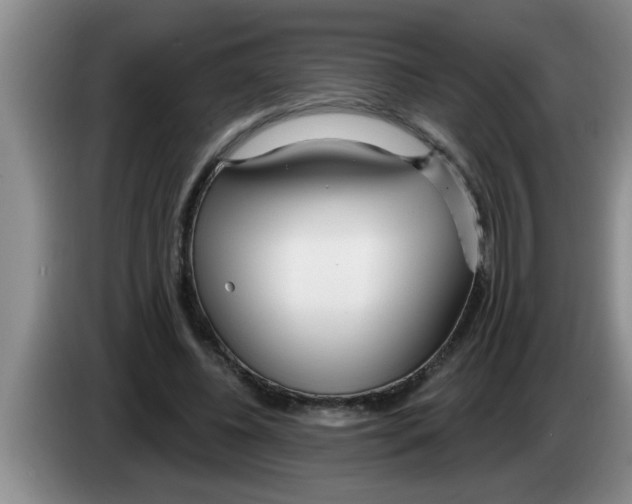 X0000083590540200703091721