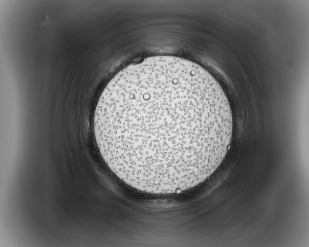 X0000083590541200703091721