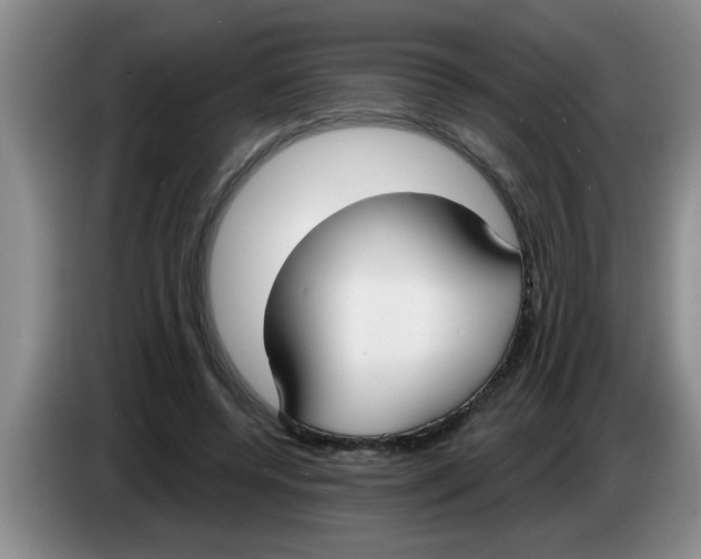 X0000083590544200703091721